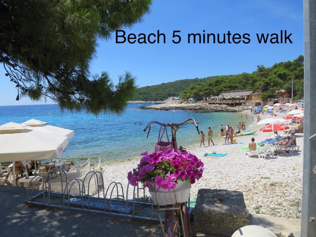 Apartment Regina Hvar Town